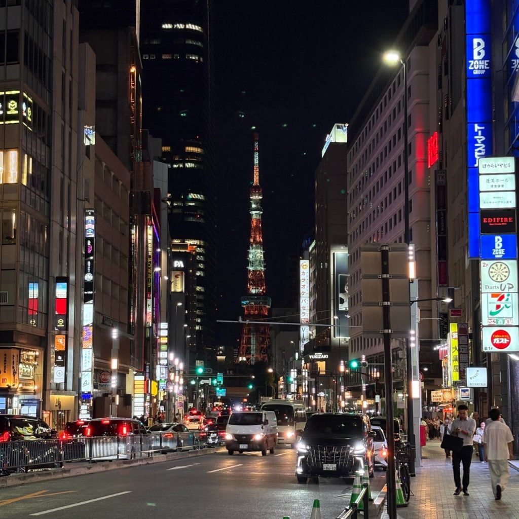 東京 大阪 出張 ホテルデリバリー 日本人美女 VIP 静香 本人保証