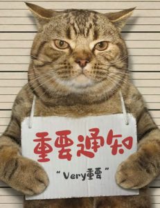 photo_2025-10-31_14-45-39