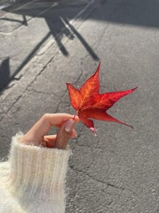 東京 大阪 出張デリバリー 日本人美女 VIPサービス お客様レビュー 静香