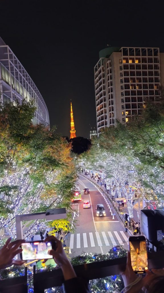 東京 大阪 出張デリバリー 日本人美女 VIPサービス お客様レビュー 静香