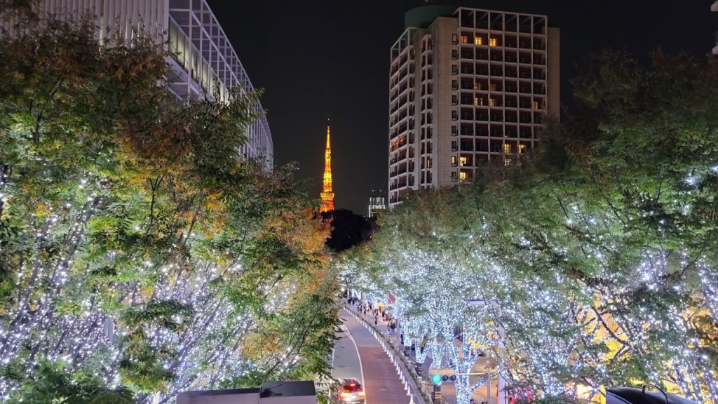 東京 大阪 出張デリバリー 日本人美女 VIPサービス お客様レビュー 静香