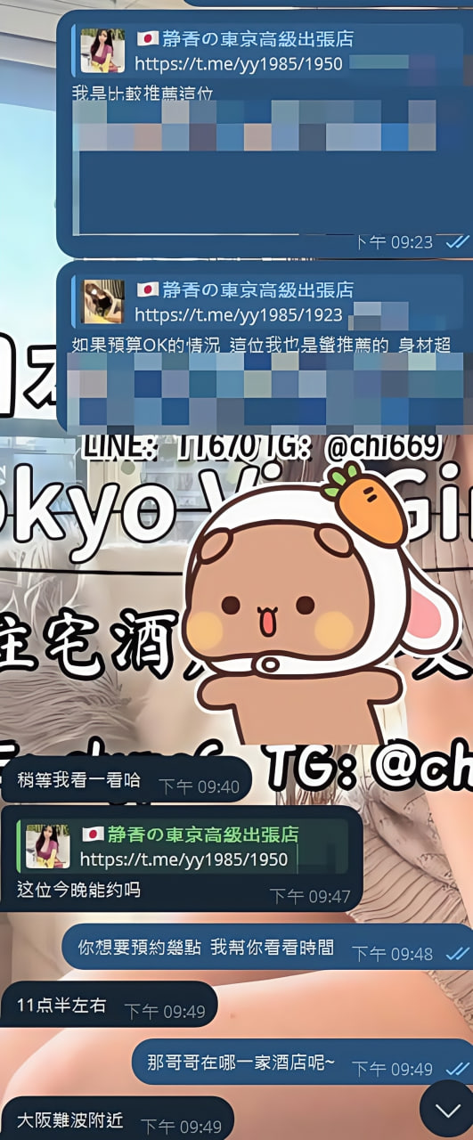 Shizuka Review Entry course