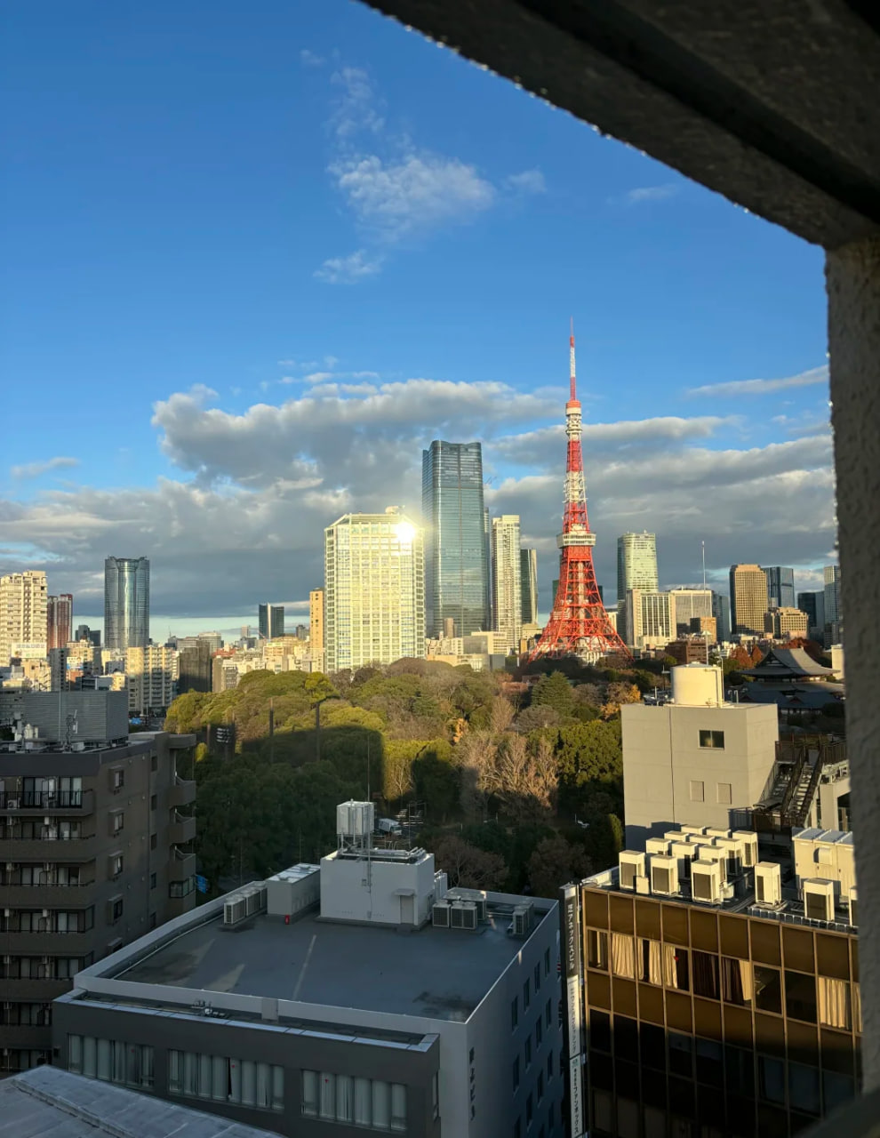 Japanese Girl｜写真本人｜出張サービス｜Tokyo Osaka｜Shizuka